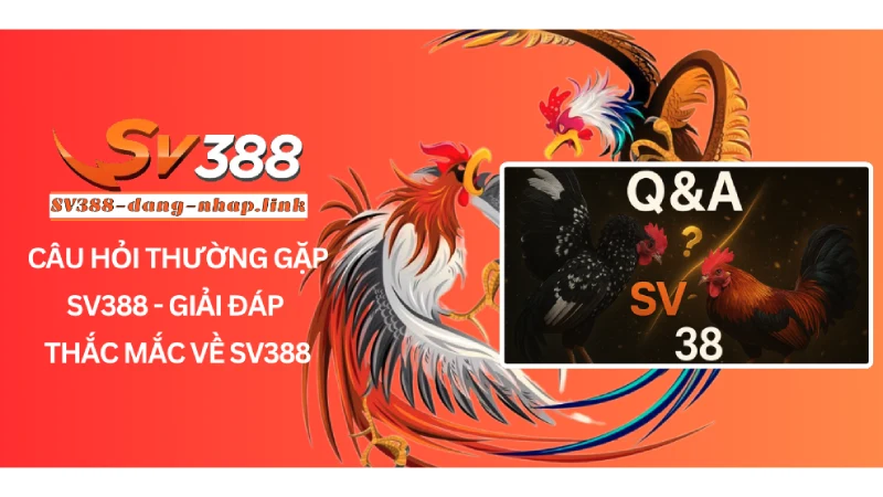 Câu hỏi thường gặp SV388 - Giải đáp thắc mắc về SV388