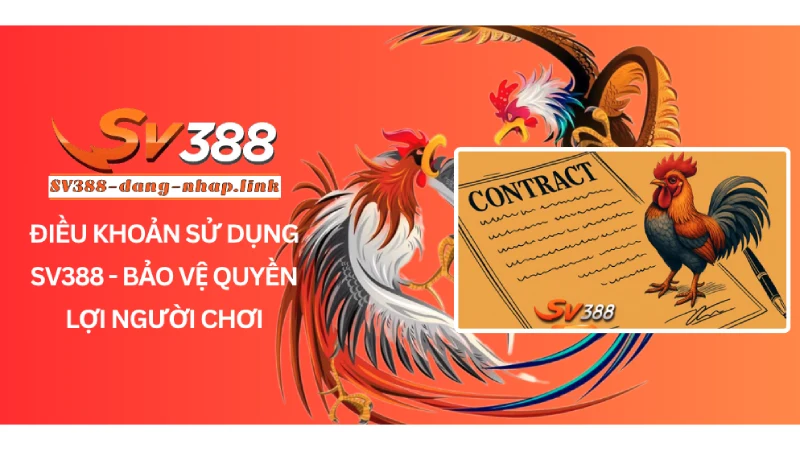 Điều khoản sử dụng SV388 - Bảo vệ quyền lợi người chơi
