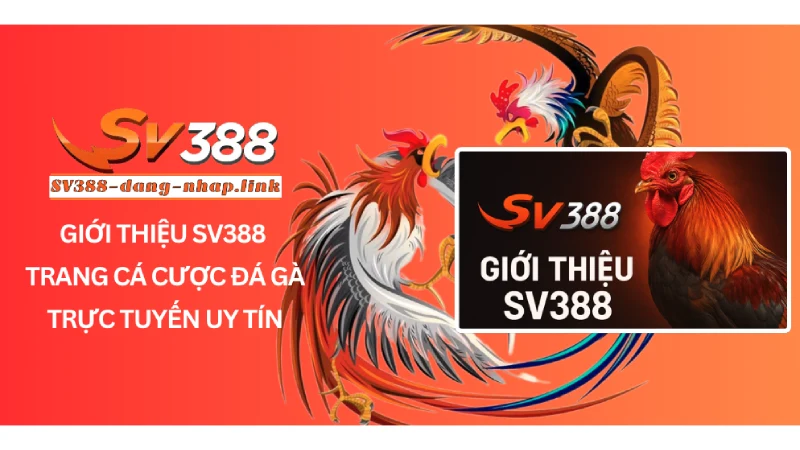 Giới thiệu SV388 - Trang Cá Cược Đá Gà Trực Tuyến Uy Tín
