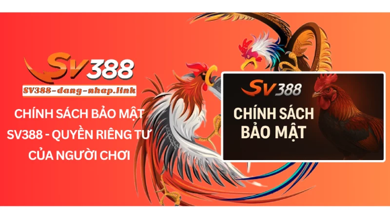 Chính sách bảo mật SV388 - Chi tiết về quyền riêng tư người chơi