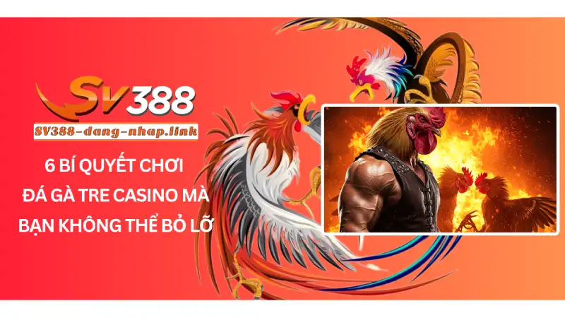 6 Bí quyết chơi đá gà tre casino mà anh em không thể bỏ lỡ