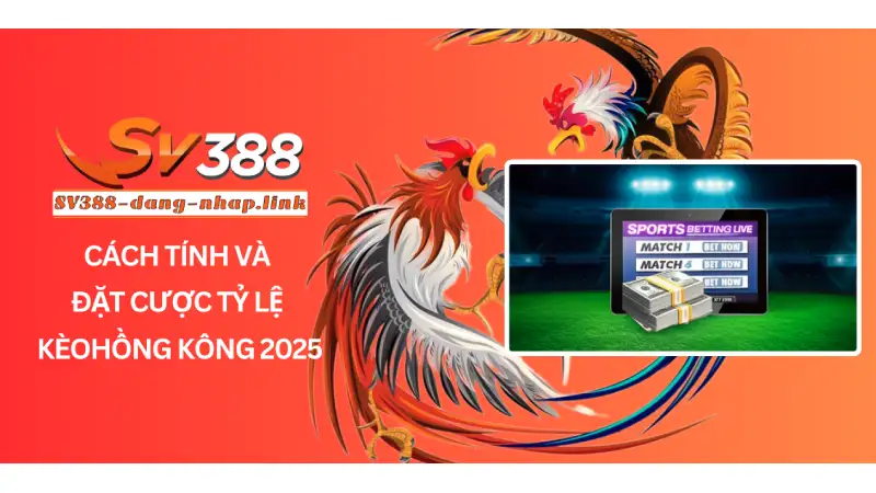 Cách tính và đặt cược tỷ lệ kèo hồng kông 2025 cho người mới