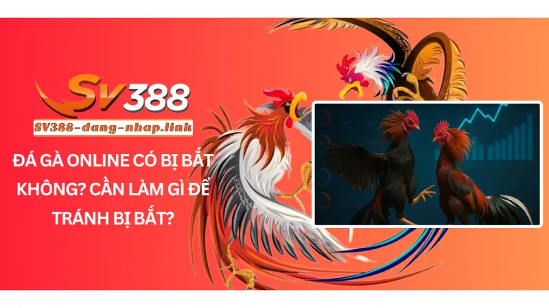 Đá gà online có bị bắt không? Cần làm gì để tránh bị bắt?