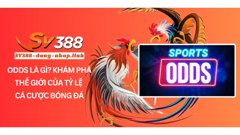 Odds là gì? Khám Phá Thế Giới Của Tỷ Lệ Cá Cược Bóng Đá