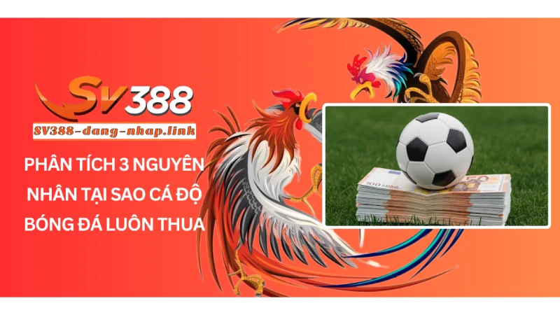 Phân tích 3 nguyên nhân tại sao cá độ bóng đá luôn thua