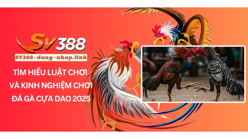 Tìm Hiểu Luật Chơi Và Kinh Nghiệm Chơi Đá Gà Cựa Dao 2025
