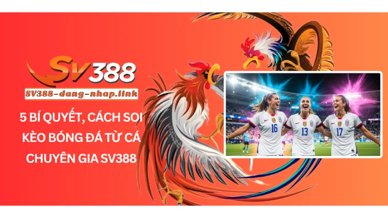 5 Bí quyết, cách soi kèo bóng đá từ cá chuyên gia SV388