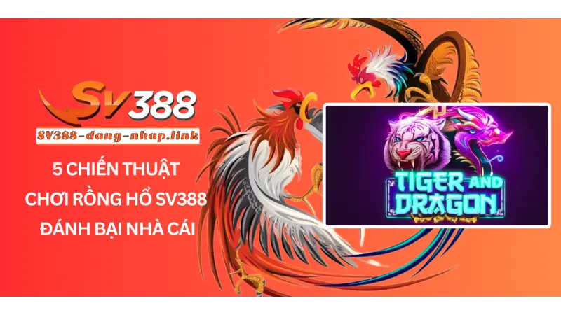 5 Chiến Thuật Chơi Rồng Hổ SV388 Đánh Bại Nhà Cái