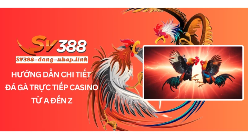 Hướng Dẫn Chi Tiết Đá Gà Trực Tiếp Casino Từ A đến Z
