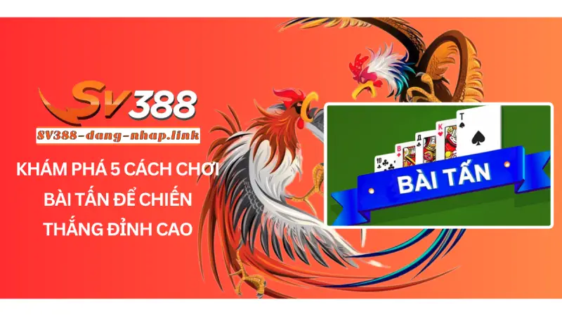 Khám phá 5 Cách chơi bài tấn để chiến thắng đỉnh cao